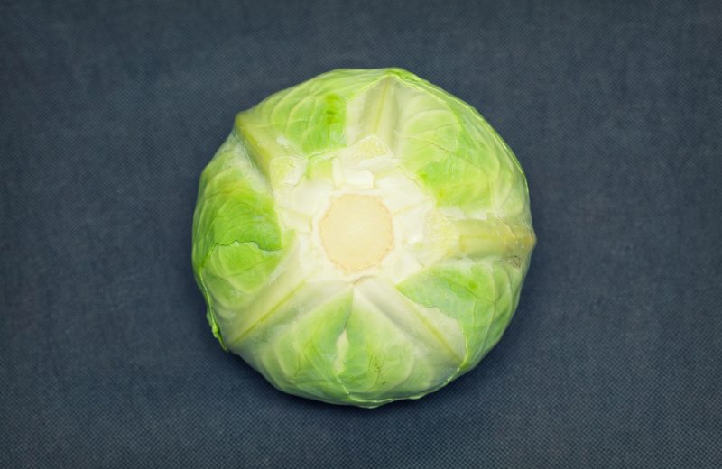 Ballhead - Cabbage