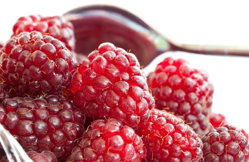 Loganberry