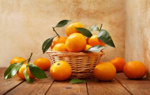 A basket full of mandarins is sitting on top of a wooden bench with mandarins scattered around it.